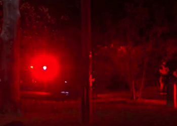 This image taken from WKOW video shows first responders at the scene of a fatal plane crash Tuesday, Oct. 13, 2026, in a wooded area near Mirror Lake State Park in the Town of Dellona, Wis. (WKOW via AP)